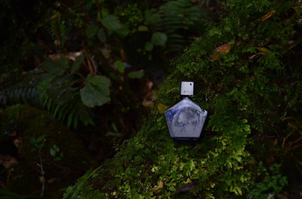 L'oudh EDP