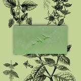 Soap Patchouli 94g/3.3oz