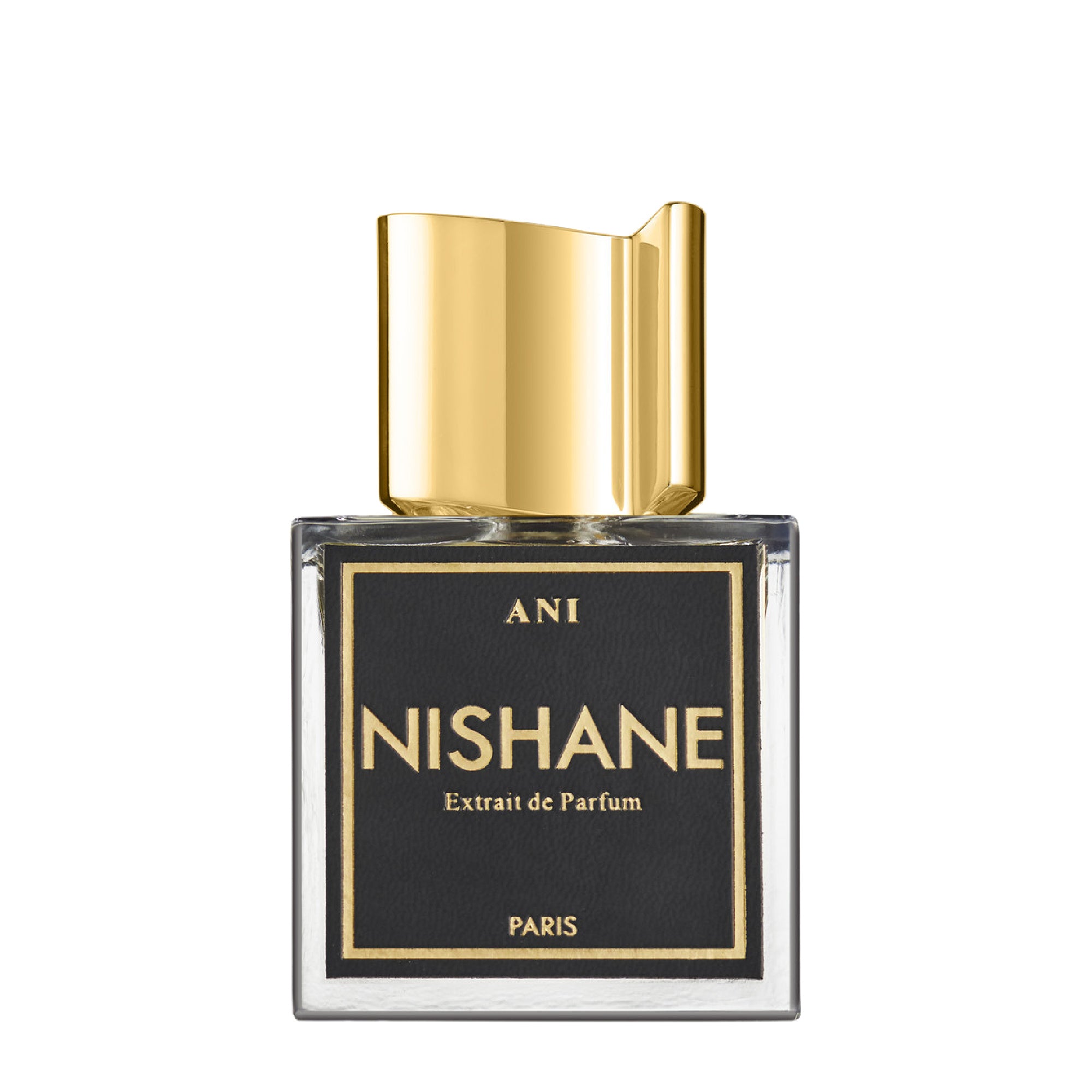 香水(ユニセックス) NISHANE ANI Extrait de Parfum 100ml Ani Extrait de Parfum – Etiket