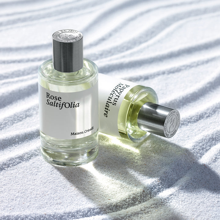 Rose Saltifolia EDP