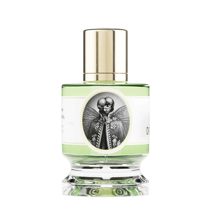 Dragonfly 2021 EDP
