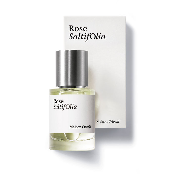 Rose Saltifolia EDP