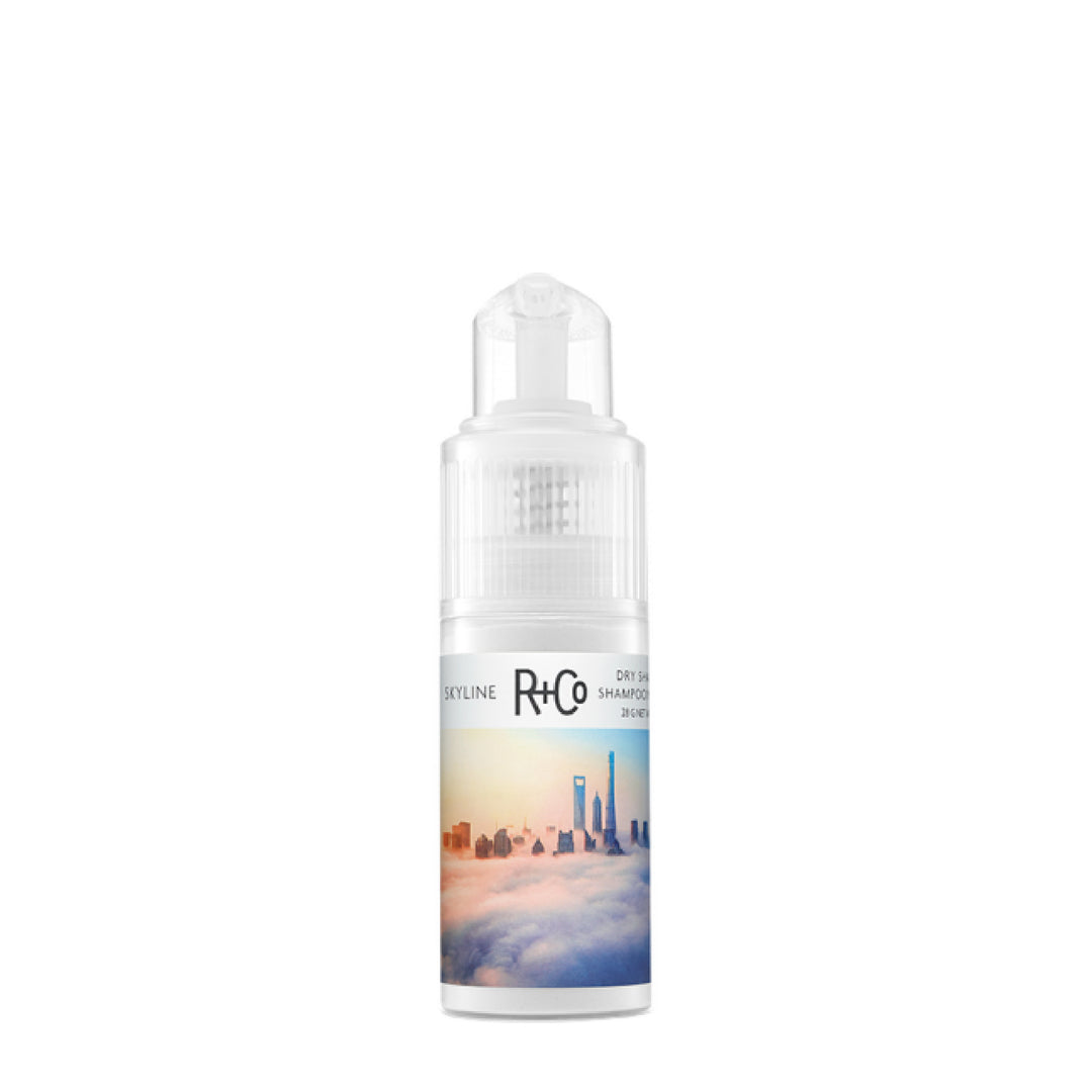 Skyline shampooing Sec en Poudre 28g